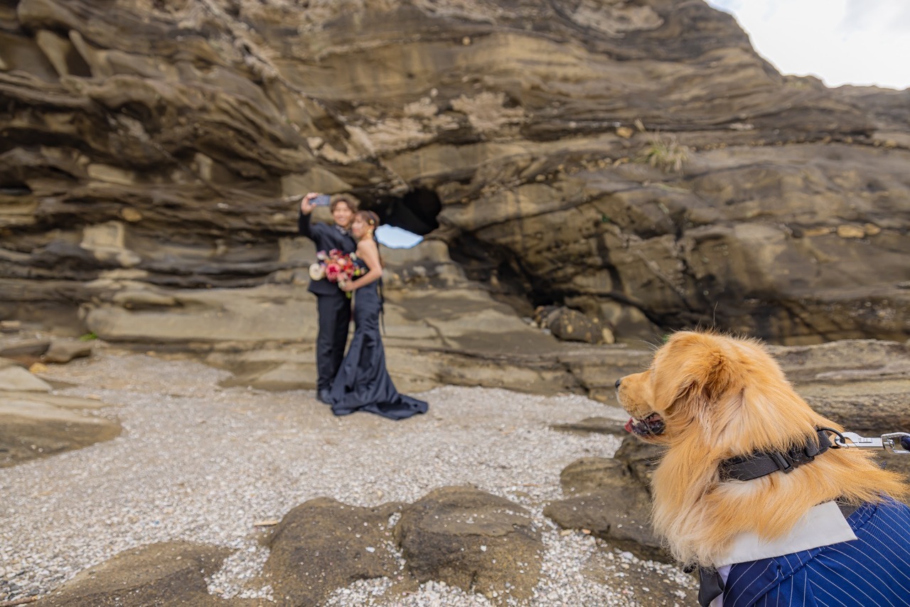 城ヶ島の岩場で正装した愛犬が黒ドレス姿の新婦と新郎を見つめる前撮り写真