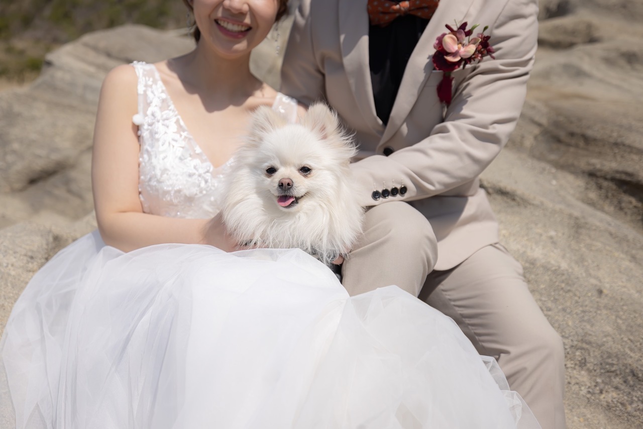 新郎新婦の間で笑顔を見せる白い愛犬