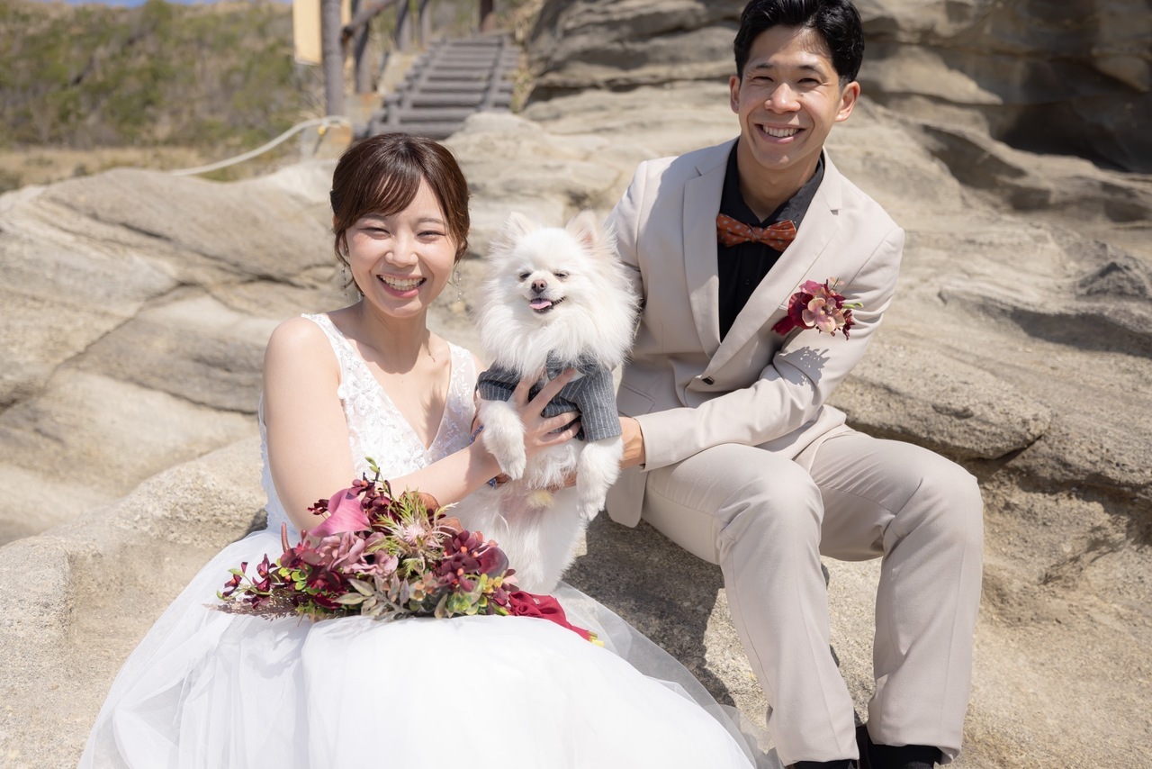 城ヶ島の草原で愛犬を見つめる新郎新婦
