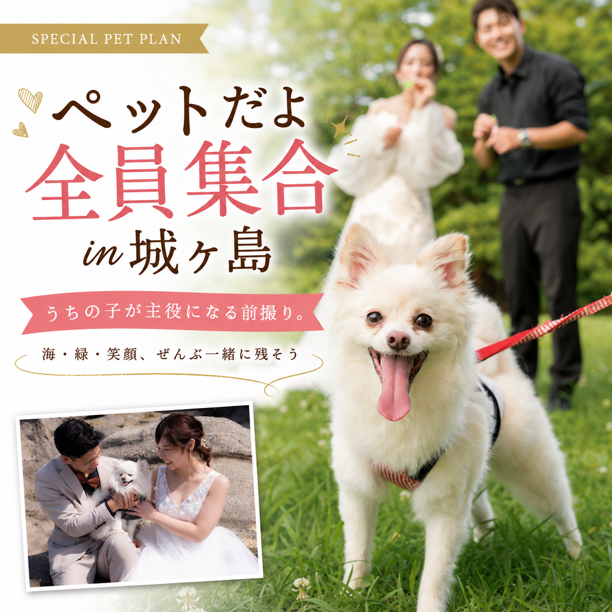 城ヶ島で愛犬と前撮りを楽しむ新郎新婦