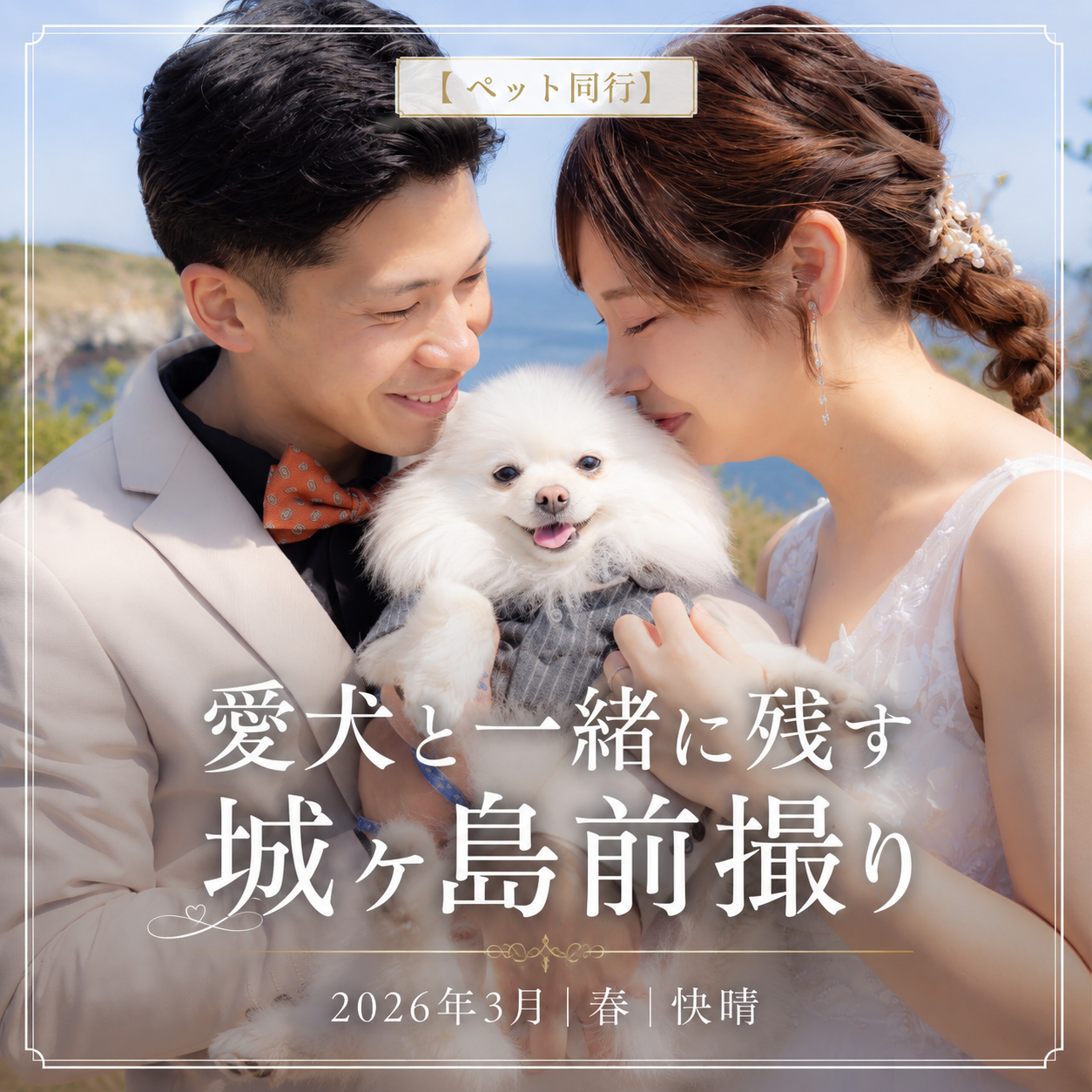 城ヶ島の岩場で愛犬と撮影する新郎新婦