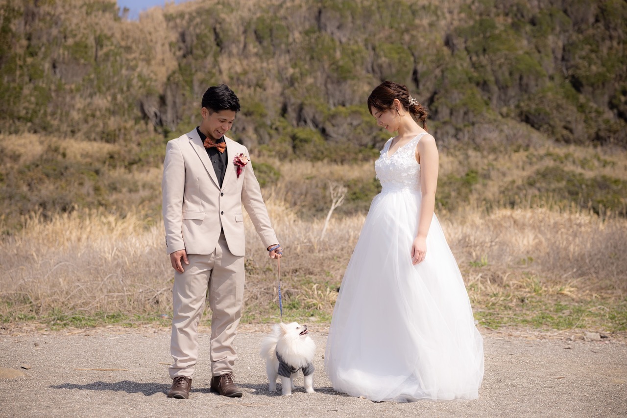 城ヶ島の草原で愛犬を見つめる新郎新婦