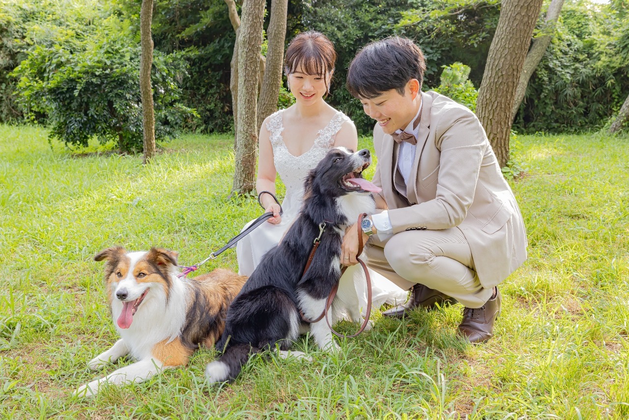 城ヶ島の緑の中で愛犬2頭と触れ合う新郎新婦の前撮り写真