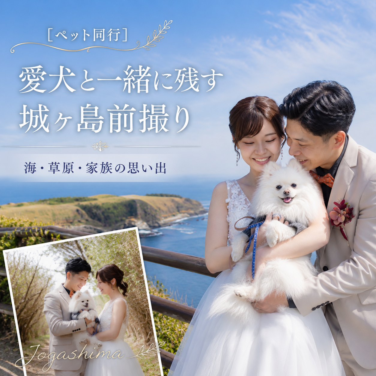 愛犬と一緒に残す城ヶ島前撮り