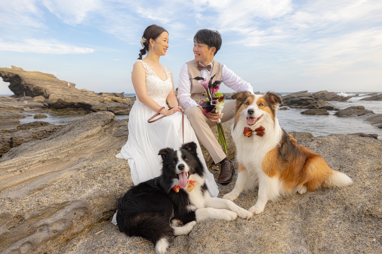 城ヶ島の海辺で愛犬2頭と座って撮影する新郎新婦のウェディングフォト