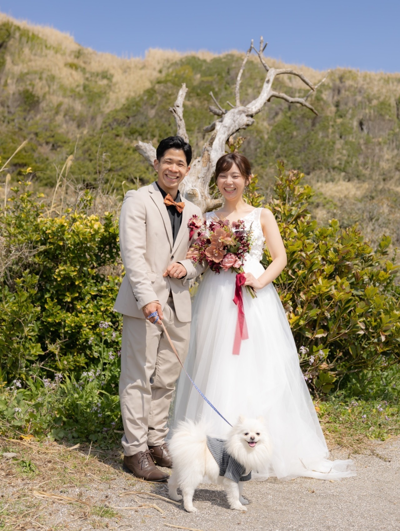 城ヶ島の自然の中で愛犬と並ぶ新郎新婦の全身写真